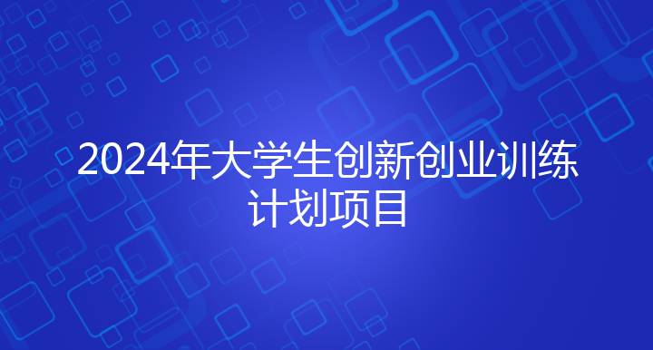 2024年大学生创新创业训练计划项目